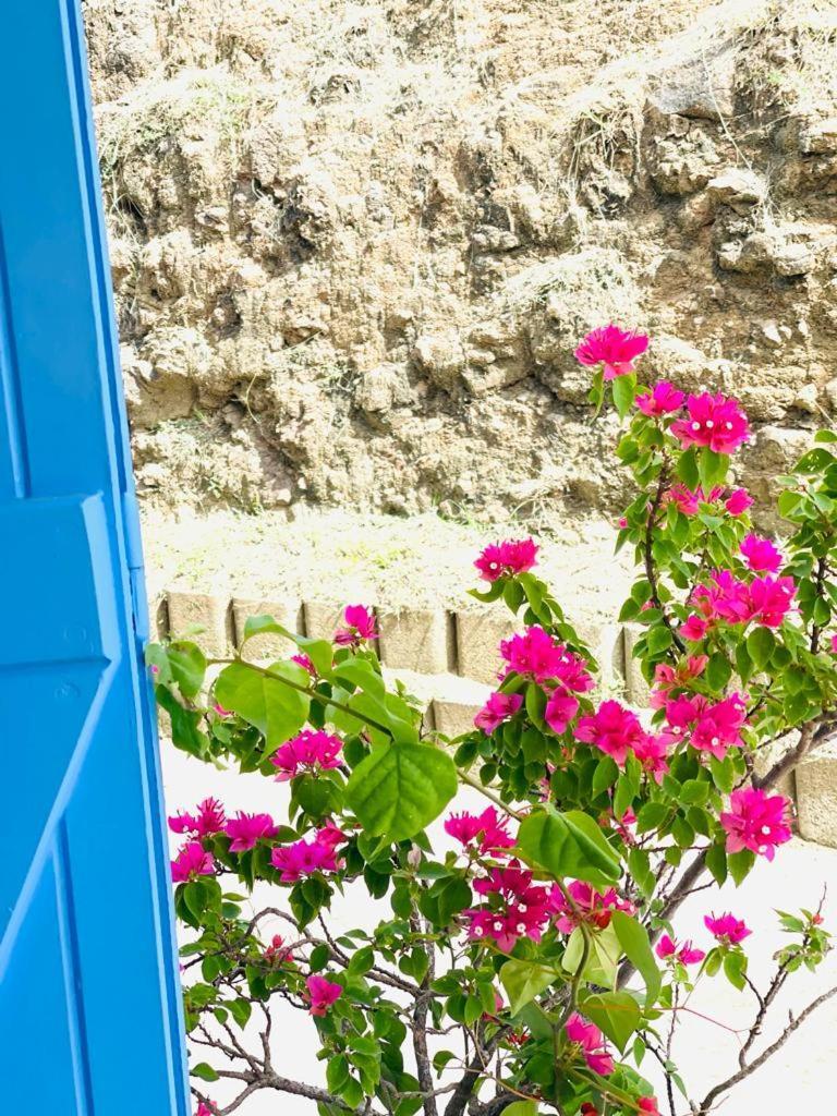 Villa Avec Vue T2 A T5 Duo De La Baie Le Robert Dış mekan fotoğraf
